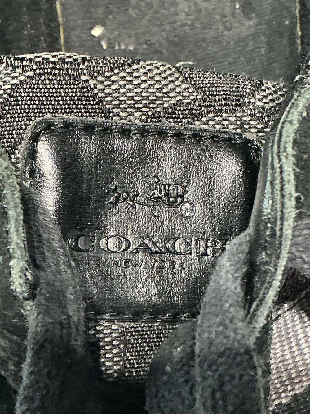 Coach low profile